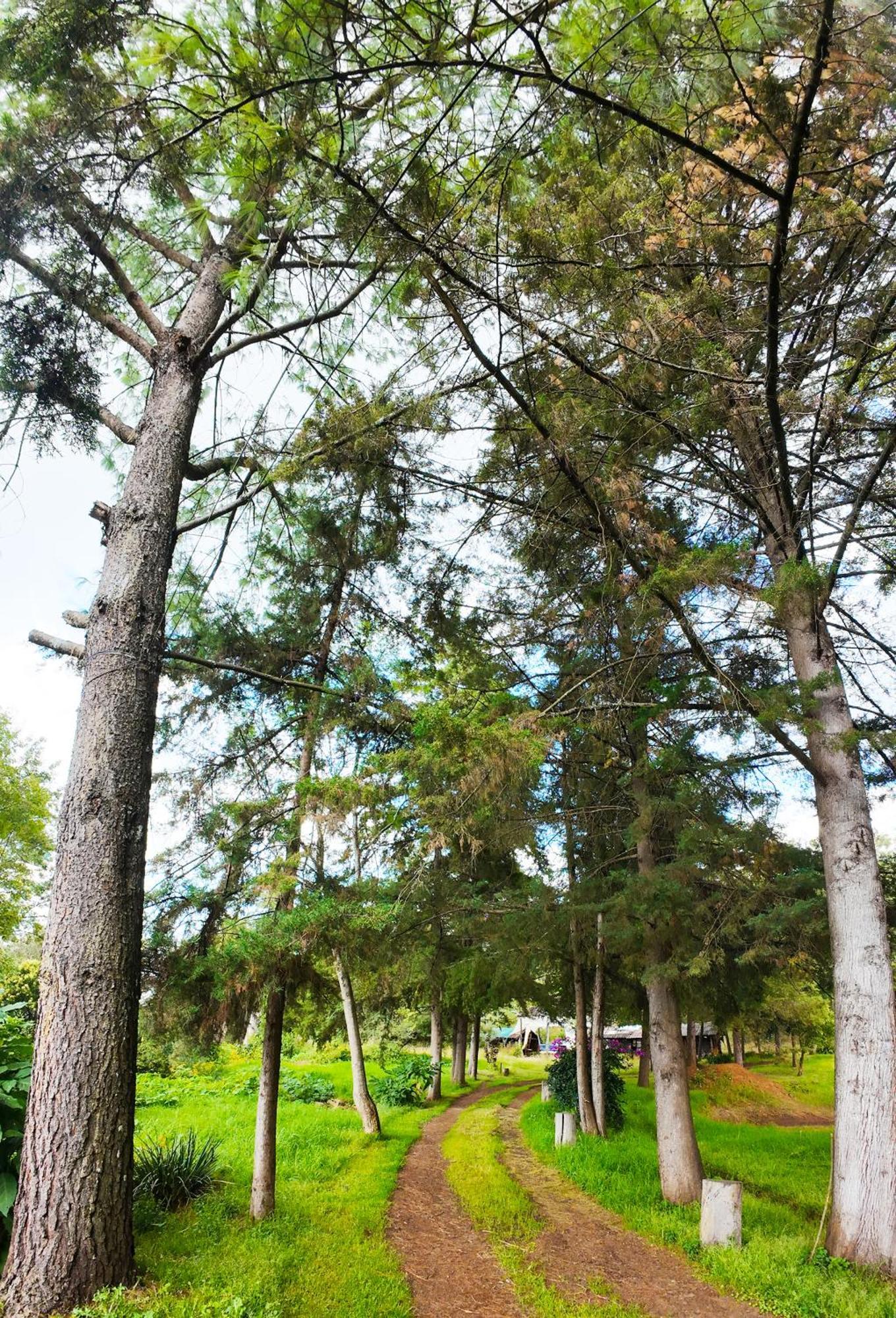 Villa Patzcuaro Garden Hotel ภายนอก รูปภาพ